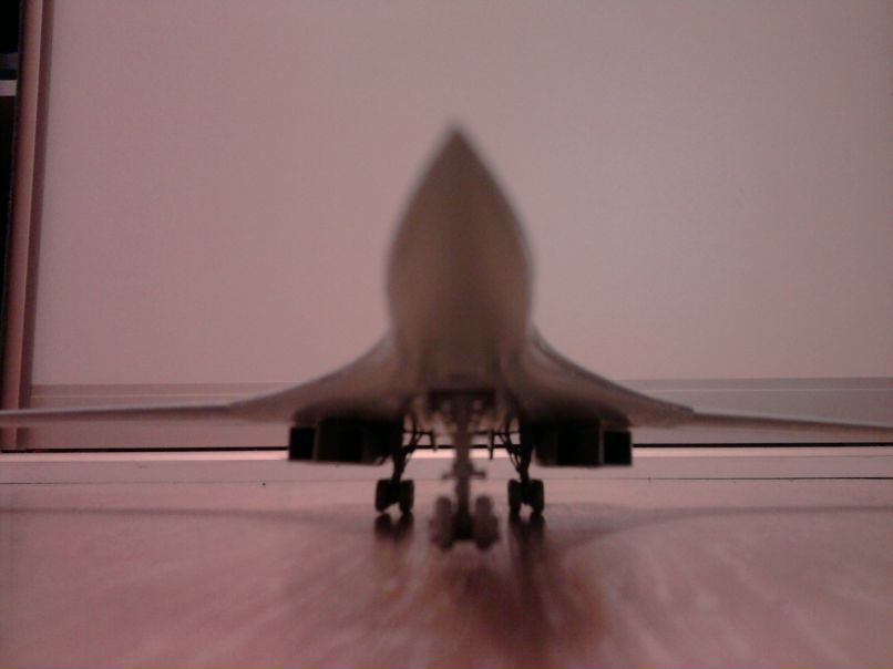 Антон Дедов фотография #40