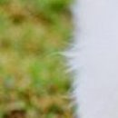 Катя Махніцька фотография #6 (источник - https://vk.com/id80782505)