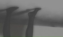 Анна Надеева фотография #1