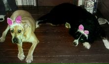 Фотография Родиной Евгении