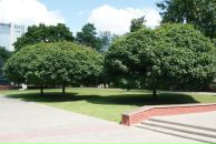 Андрей Бартошкин фотография #2 (источник - https://vk.com/id534929)