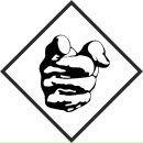 Фотография Igsi Игоря