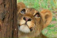 Фотография Запорожцева Евгения