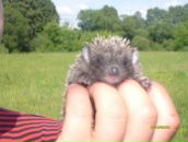 Оля Ілючок фотография #9 (источник - https://vk.com/id50370198)