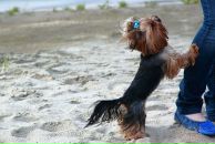 Фотография Ларионовой Милы