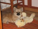 Олічка Романюк фотография #31 (источник - https://vk.com/id62631407)