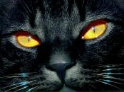 Фотография Поповой Луизы