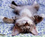 Ілонка Кузик фотография #5 (источник - https://vk.com/id90114265)