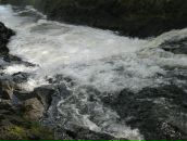 Фотография Борисовой Ольги