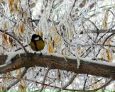 Фотография Gumenschikova Натальи