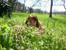 Інна Папп фотография #4 (источник - https://vk.com/id152990266)