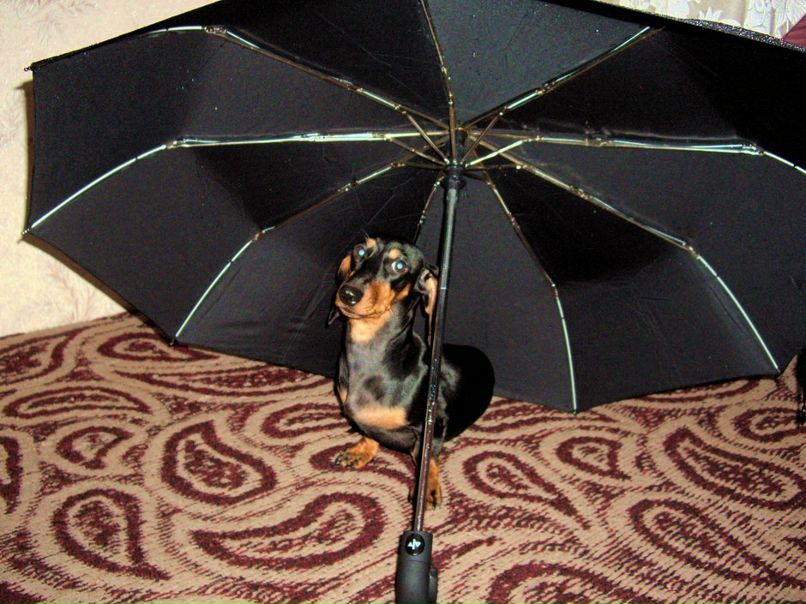 Александр Братушев фотография #38