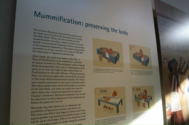 Дмитрий Гудков фото №23