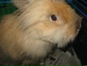 Фотография Кузьмин Арсений