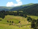 Ксюшка Тангіян фотография #37 (источник - https://vk.com/id159556323)