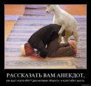 Фотография Ivanov Dima