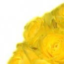 Василь Дмитрів фотография #48 (источник - https://vk.com/id98013424)