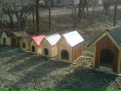 Олег Радзієвський фотография #16 (источник - https://vk.com/id133248038)