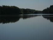 Ольга Стаднічук фотография #22 (источник - https://vk.com/id64419232)