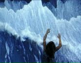 Фотография Дуб Ольги