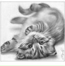 Фотография Тюллиной Натали