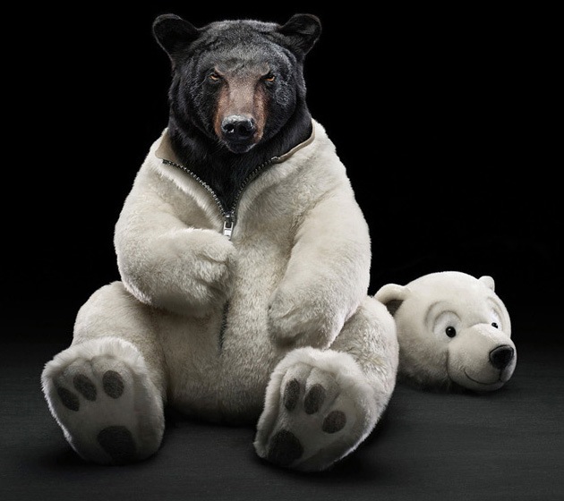 Вадим Хасанов фотография #18