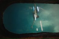 Антон Игонин фотография #45 (источник - https://vk.com/id15941737)