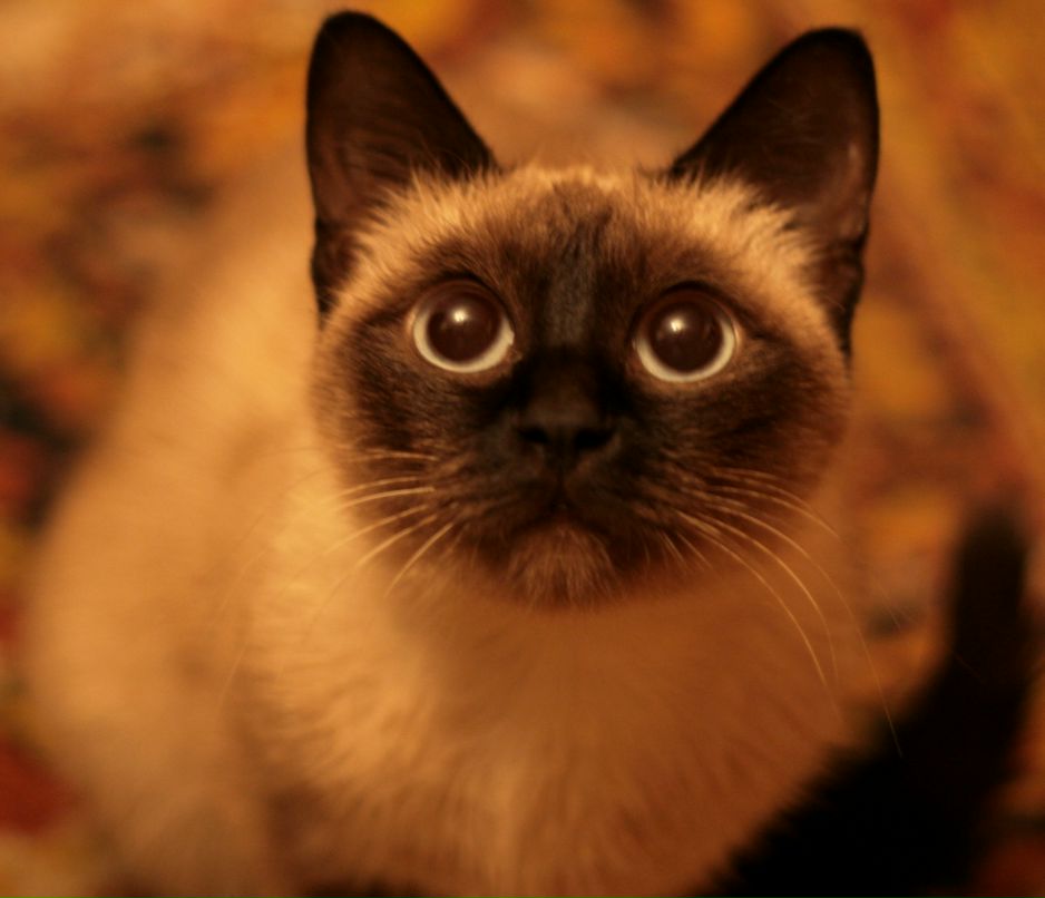 Антон Ant фотография #6