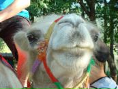 Фотография Полякова Юрия