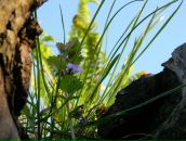 Іван Бакуш фотография #36 (источник - https://vk.com/id49792389)