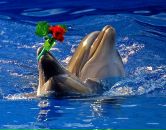 Софія Дудинська фотография #29 (источник - https://vk.com/id121596440)