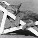 Віктор Якименко фотография #38 (источник - https://vk.com/id24860306)