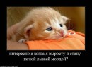 Фотография Аксенова Евгения