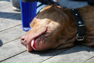 Фотография Тарасова Олега