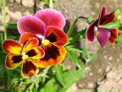 Фотография Артемьевой Марины