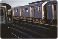 Фотография Мака Виктории