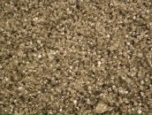 Анна Соскина фотография #5 (источник - https://vk.com/id1592011)