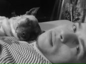 Фотография Булавина Дениса