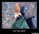 Kirill Ripper фотография #13 (источник - https://vk.com/id6248017)