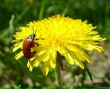 Фотография Ушаковой Ольги