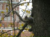 Фотография Бобренковой Евгении