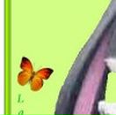 Марина Нікітчук фотография #25 (источник - https://vk.com/id145836178)