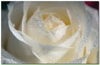 Ксенія Вознюк фотография #16 (источник - https://vk.com/id7594792)