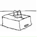 Фотография Плаксина Ивана