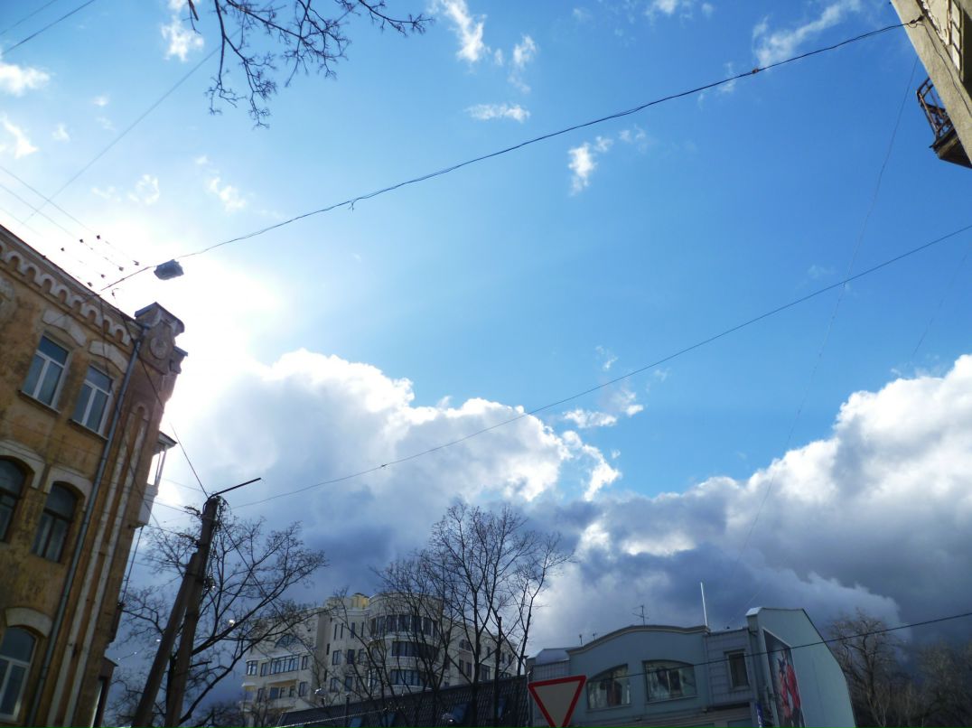 Dragon Fly фотография #25