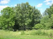 Діма Міщук фотография #50 (источник - https://vk.com/id57919059)