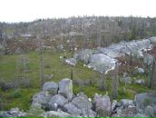 Иван Паньков фотография #38 (источник - https://vk.com/id746503)