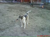 Дмитрий Клыга фотография #17 (источник - https://vk.com/id4355044)