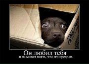 Любовь Духанова фотография #43 (источник - https://vk.com/id5068523)