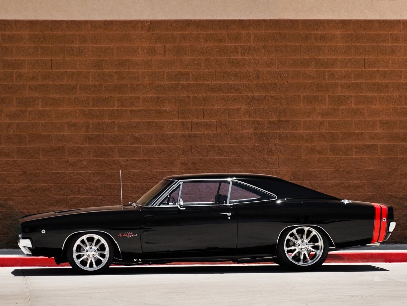 Алан Токаев фотография #44